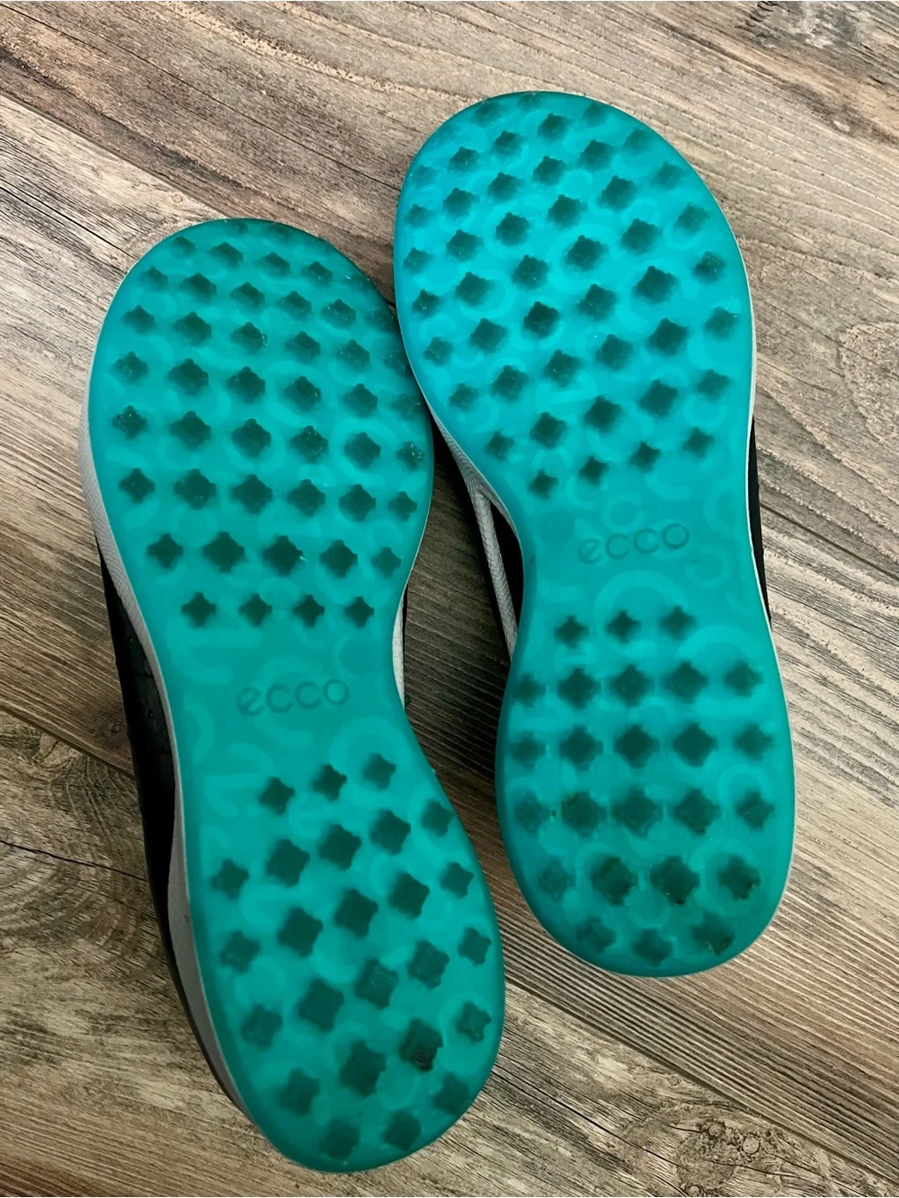 Ecco Biom Hybrid Women’s Sport Shoes